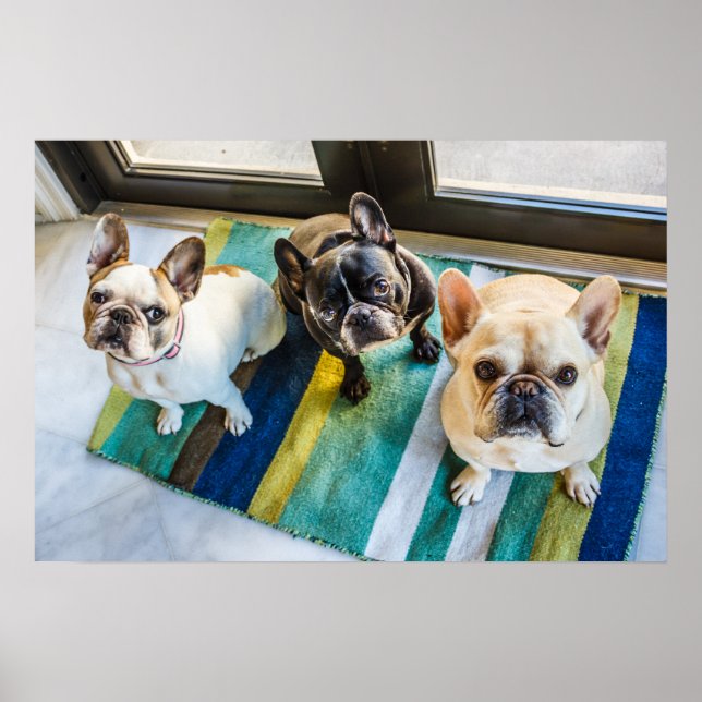 Poster Três franceses (Frente)