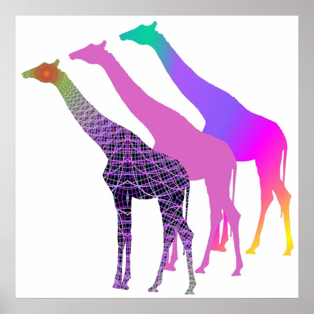 Pôster Três Girafas Design 4 (Frente)