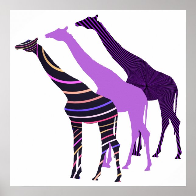 Pôster Três Girafas Design 5 (Frente)