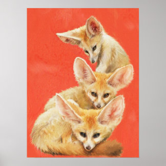Pôster Três Kits Fennec Fox