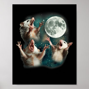 Poster Três Lua Possum _ 3 Ogambm Estranho Engraçado M