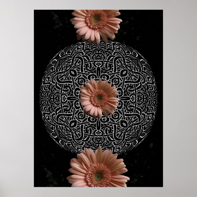 Pôster Três margaridas (Frente)