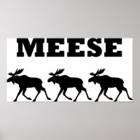 Três Meias Engraçado