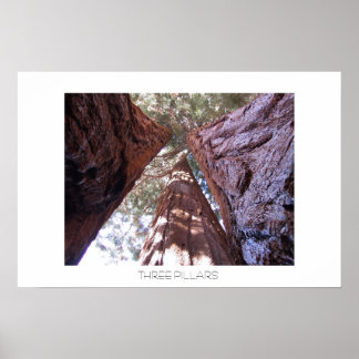 Pôster Três pilares