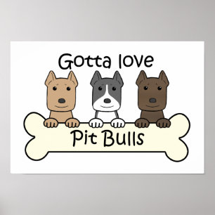 Pôster Três Pitbulls