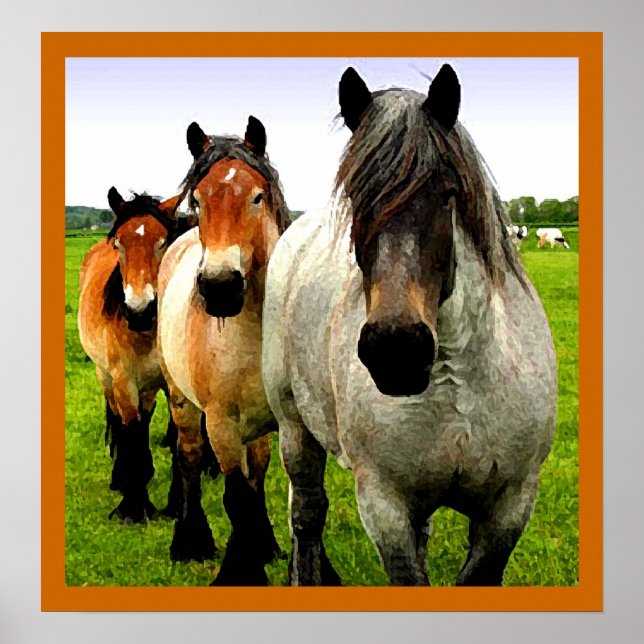 Poster Três Pontes (Frente)