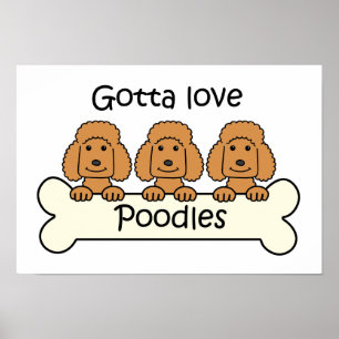 Poster Três Poodles