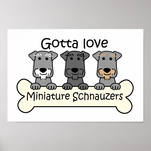 Poster Três Schnauzers Miniatura (Frente)