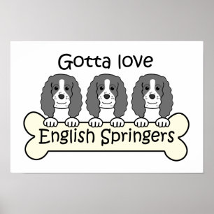 Pôster Três Spaniels de Springer inglês