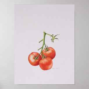 Pôster Três tomates na videira 1997
