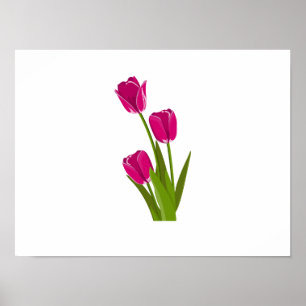 Poster Três Tulipas Cor-de-Rosa virando para a Esquerda