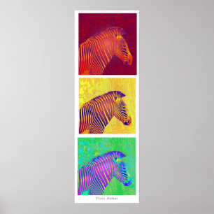 Pôster três zebras