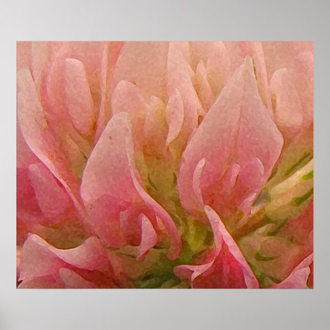 Pôster Trevo Rosa (Frente)