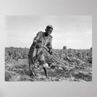 Pôster Treze anos de idade em campo na Geórgia