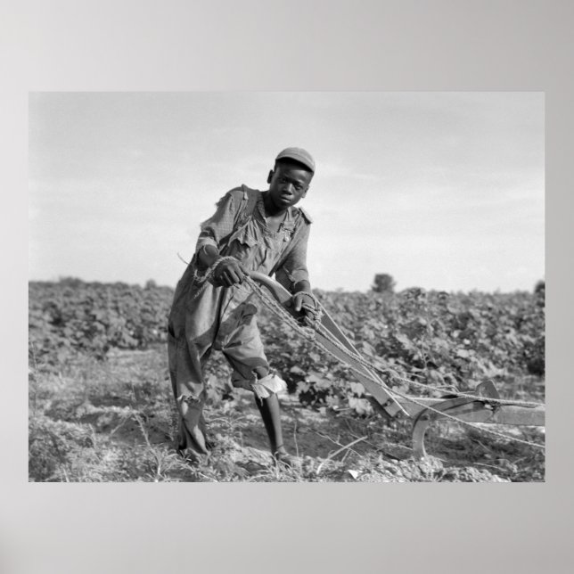 Pôster Treze anos de idade em campo na Geórgia (Frente)