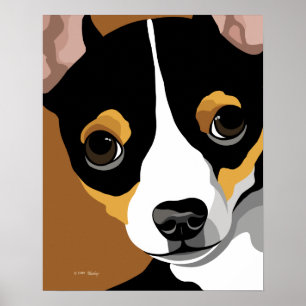 Pôster Tri chihuahua da cor