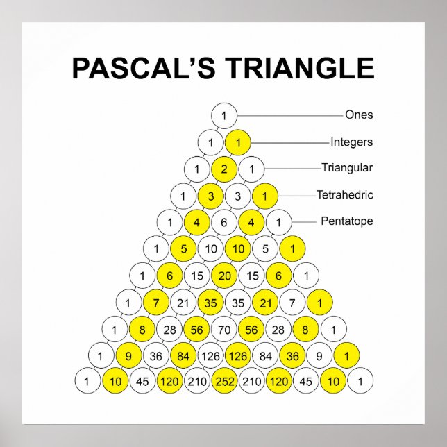 Poster Triângulo de Pascal Com Rótulos (Frente)