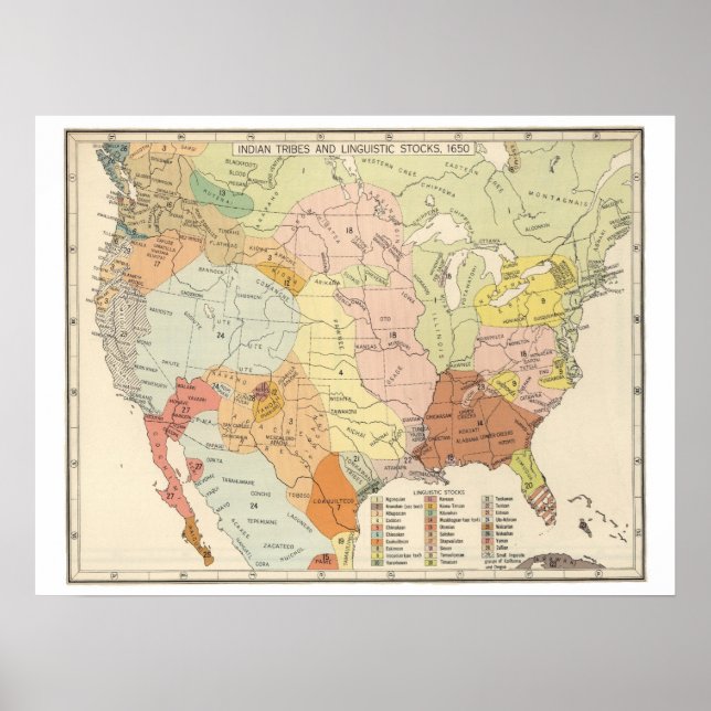 Poster Tribos Indígenas Americanas e Mapa Linguístico (Frente)