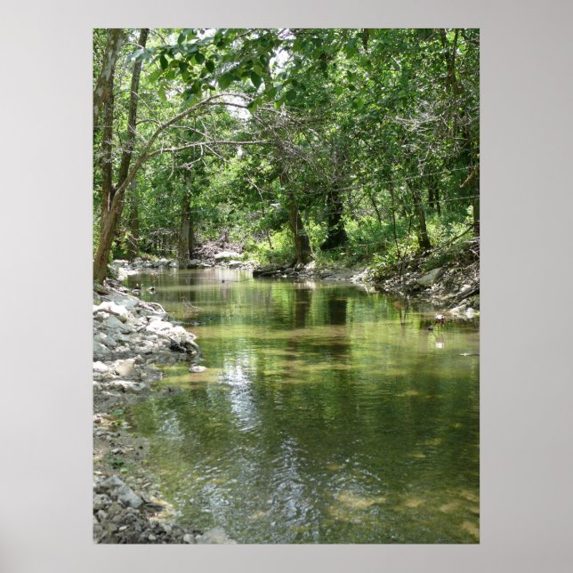 Pôster Tributário Solitário (Frente)