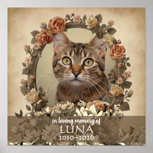 Poster Tributo Fotográfico Personalizado Memorial de Gato