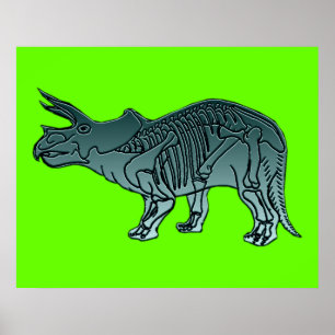Pôster Triceratops