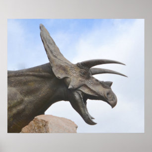 Pôster Triceratops Dinossauro