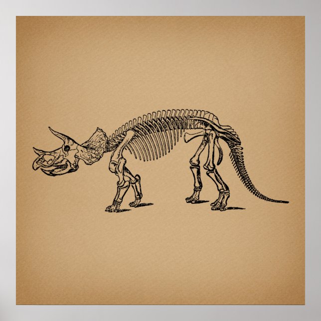 Poster Triceratops Dinossauro Esqueleto Arte Pré-Históric (Frente)