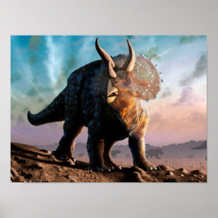 Pôster Triceratops Horridus