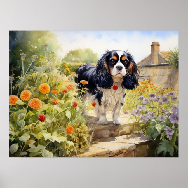 Poster Tricolor Cavalier King Charles Spaniel (Frente)