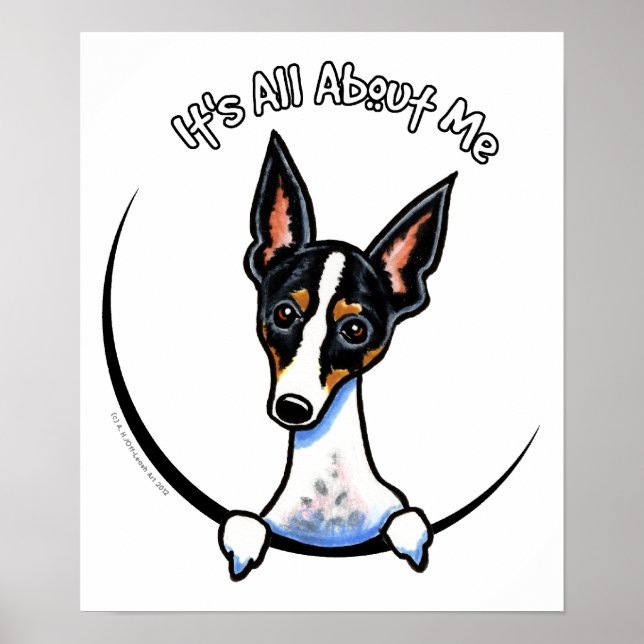 Poster Tricolor Rat Terrier IAAM (Frente)