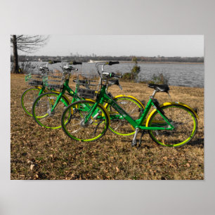 Poster Trigêmeos de Bicicletas