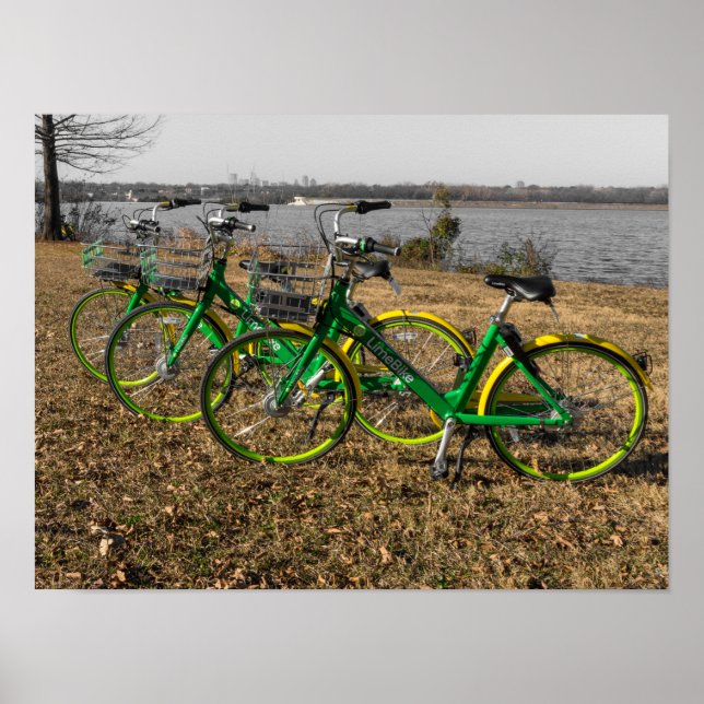 Poster Trigêmeos de Bicicletas (Frente)