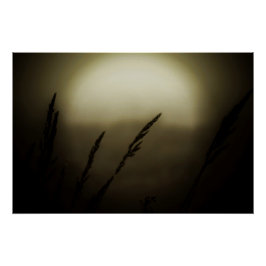 Pôster Trigo no Sunset