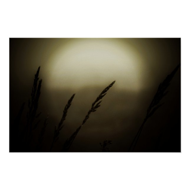 Pôster Trigo no Sunset (Frente)