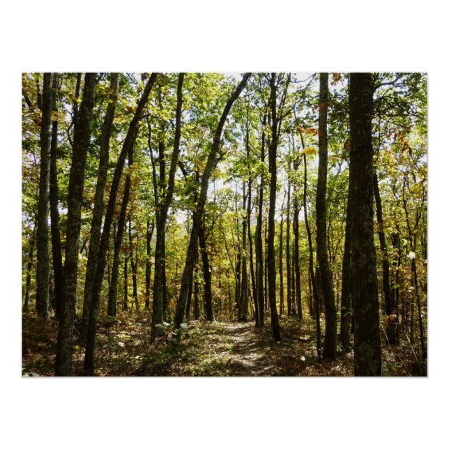 Pôster Trilha Appalachian em outubro em Shenandoah (Frente)