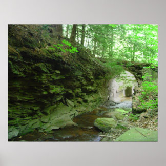 Pôster Trilha da Águia ouro