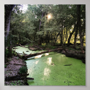 Poster trilha de areia