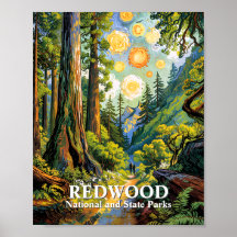 Trilha de caminhada no Parque Nacional Redwood Van