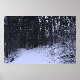 Poster Trilha de Hiking Coberta de Neve 2