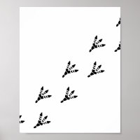 Trilha de Pegada Isolada do Dinossauro