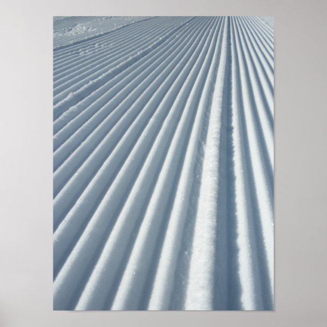 Pôster Trilha de Snowboard de Esqui em Escala (Frente)