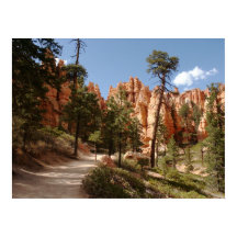 Trilha do Parque Nacional do Bryce Canyon