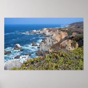 Pôster Trilha e costa roscadas de Bodega Head