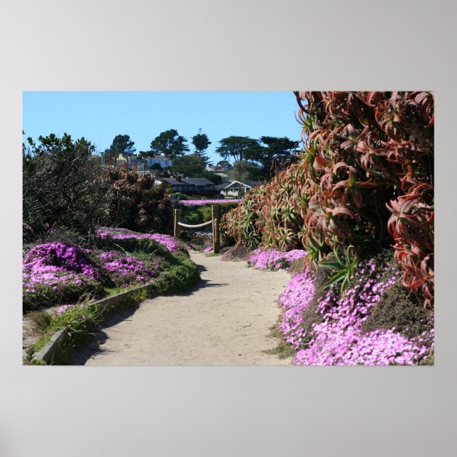 Poster Trilha Monterey Beach, Primavera Foto (Frente)