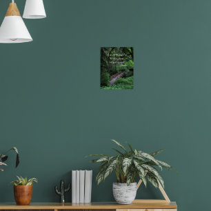 Poster Trilha na Floresta Citação de John Muir