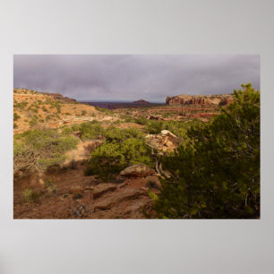 Poster Trilha Neck Springs no Parque Nacional Canyonlands