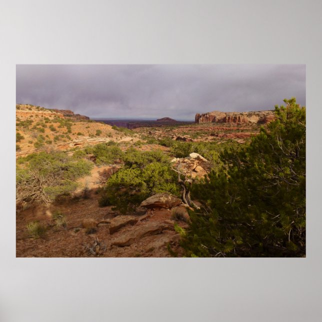 Poster Trilha Neck Springs no Parque Nacional Canyonlands (Frente)