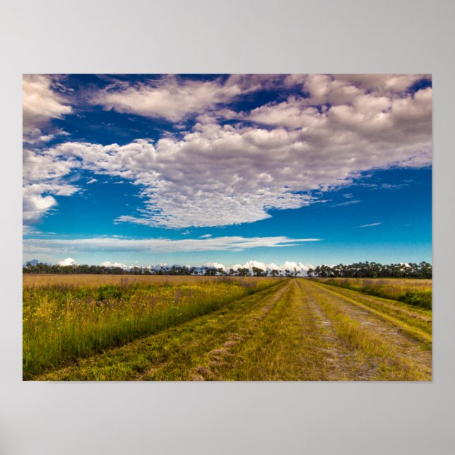 Poster Trilha no Parque Estadual da Reserva de Kissimmee  (Frente)