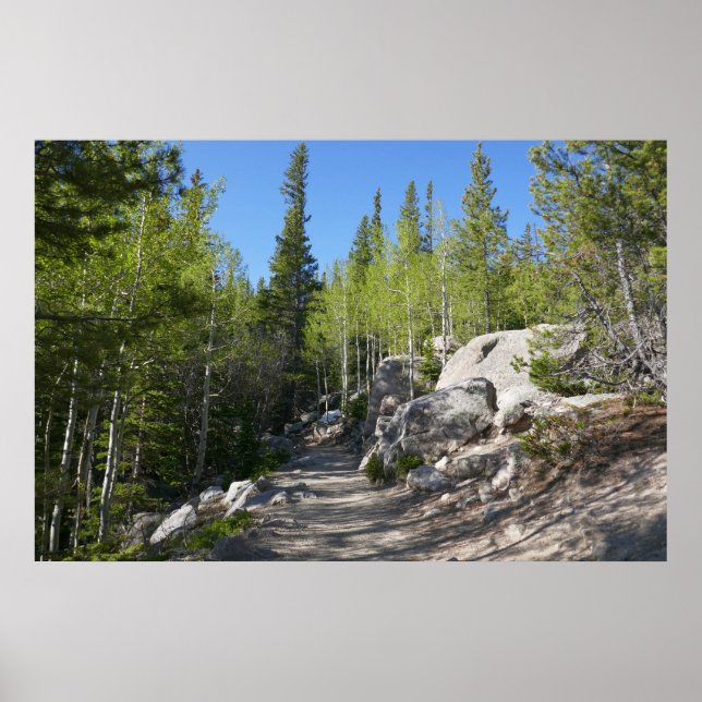 Poster Trilha para Alberta Falls (Frente)