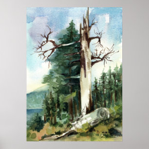Poster Trilha para Caminhada de Árvores da Floresta Vista